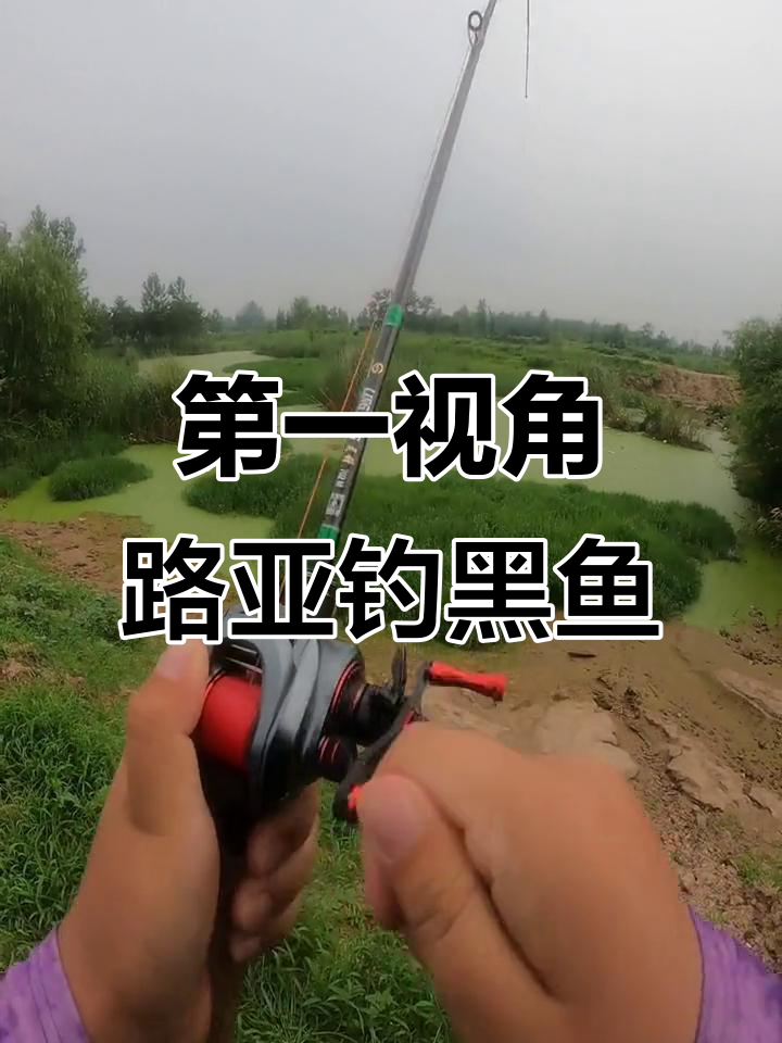 路亚巨黑技巧(路亚巨黑鱼技巧)