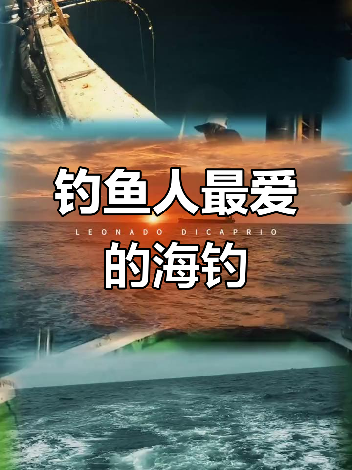 海钓杂志(海钓书籍)