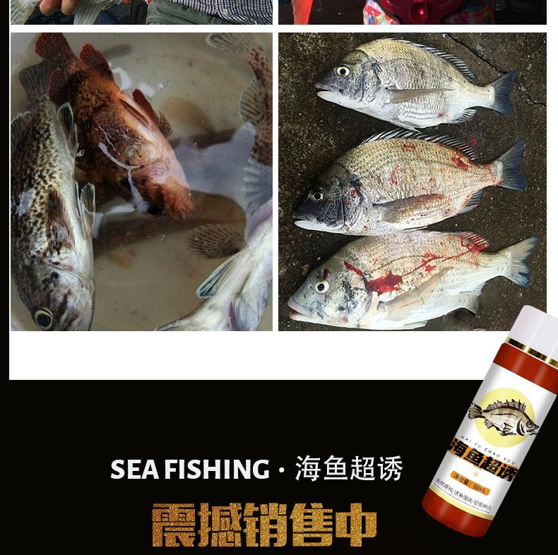 海钓乌头鱼技巧(海钓乌头鱼技巧视频)
