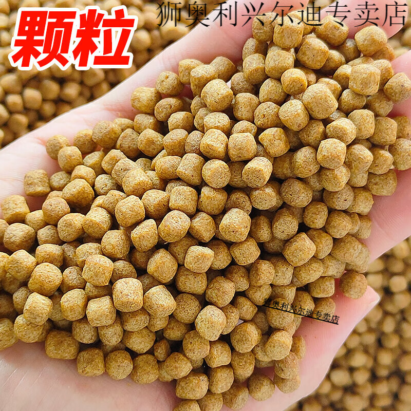 基础饵料图片(常用基础饵)
