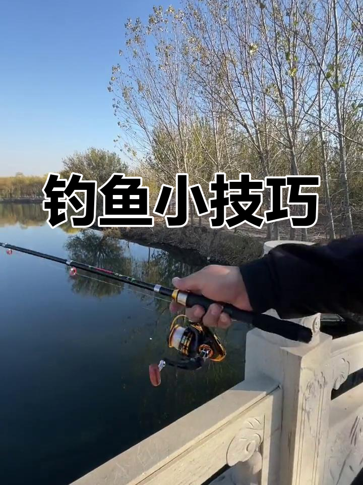 钓鲫鱼杆长技巧方法(钓鲫鱼竿多长的最实用)
