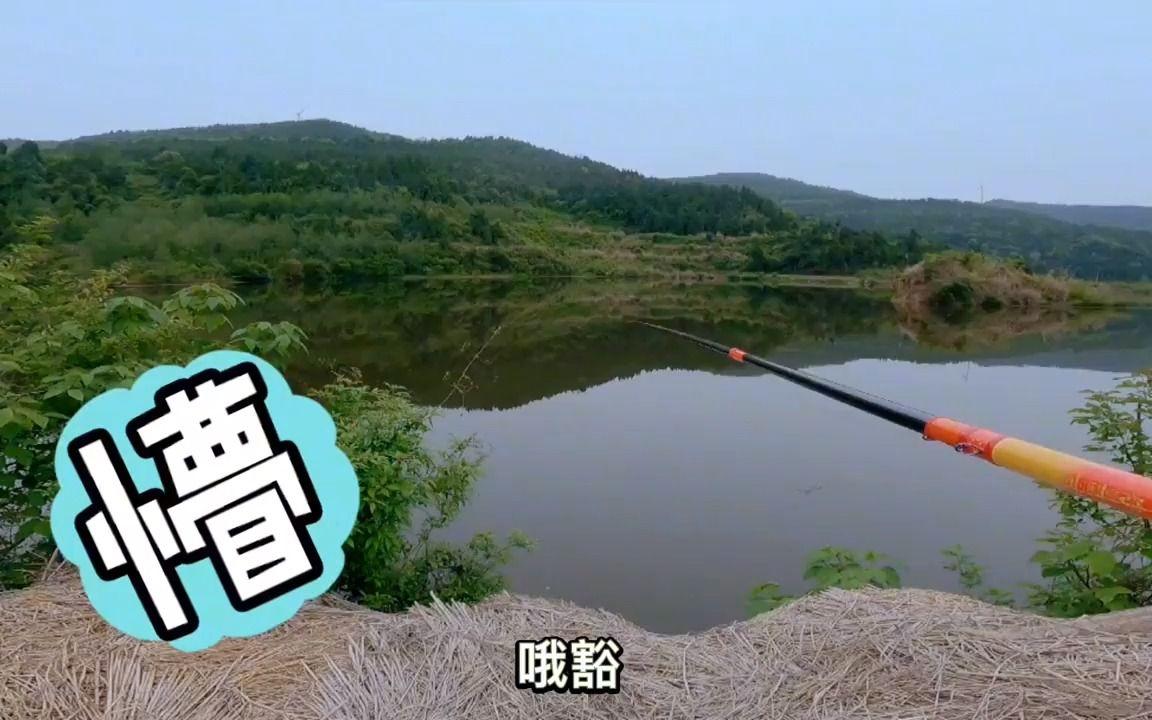 台钓溜大鱼技巧(台钓溜大鱼技巧视频)