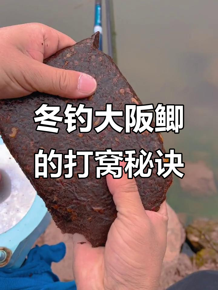 初冬钓鲫鱼打窝技巧(初冬钓鲫鱼技巧怎么找鱼窝)