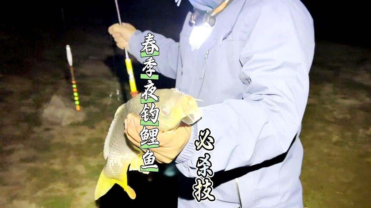 夜钓大头鱼技巧(夜钓大头鱼技巧视频)