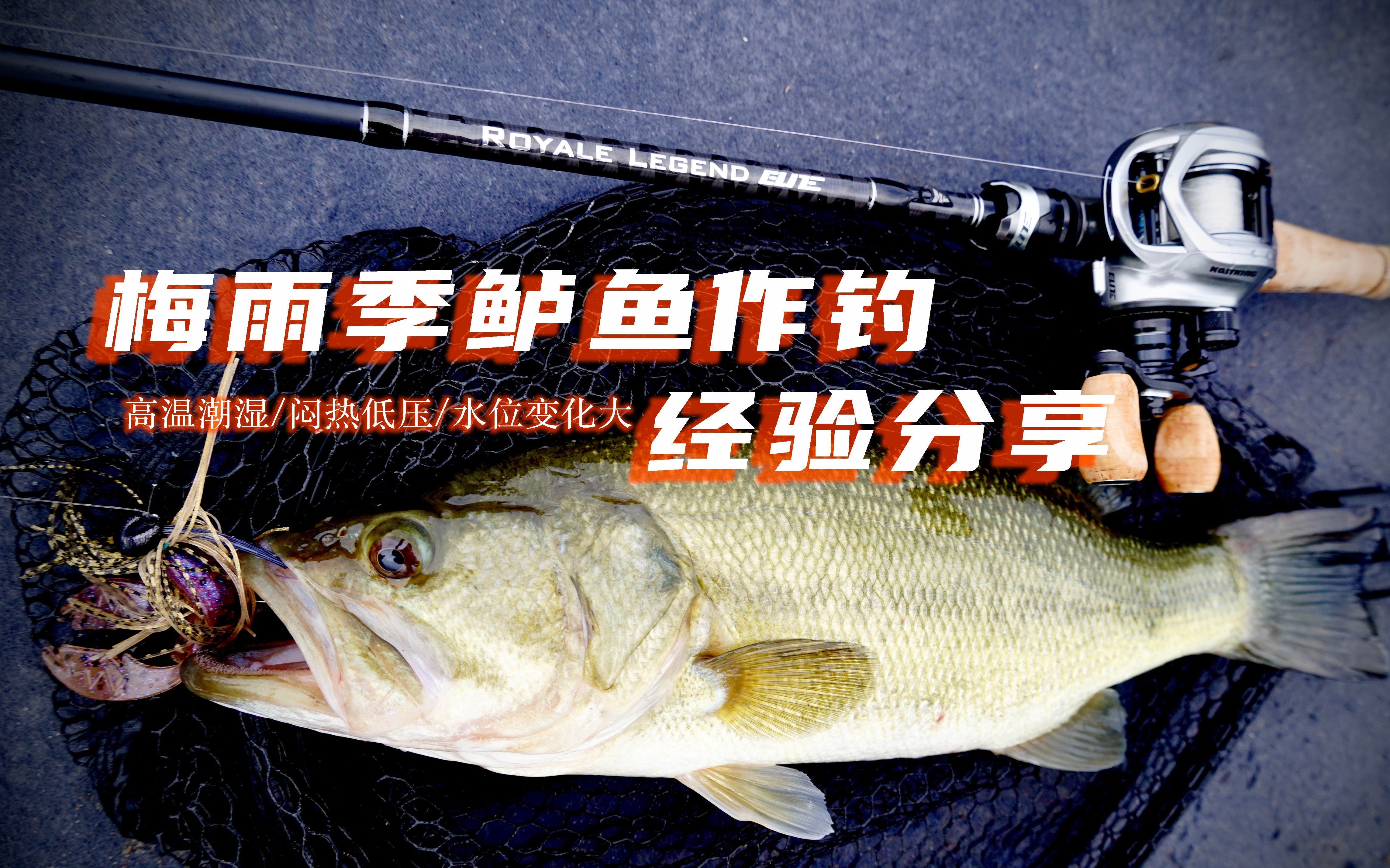 路亚钓淡水鲈鱼的经验(路亚钓水库淡水鲈鱼视频教程)