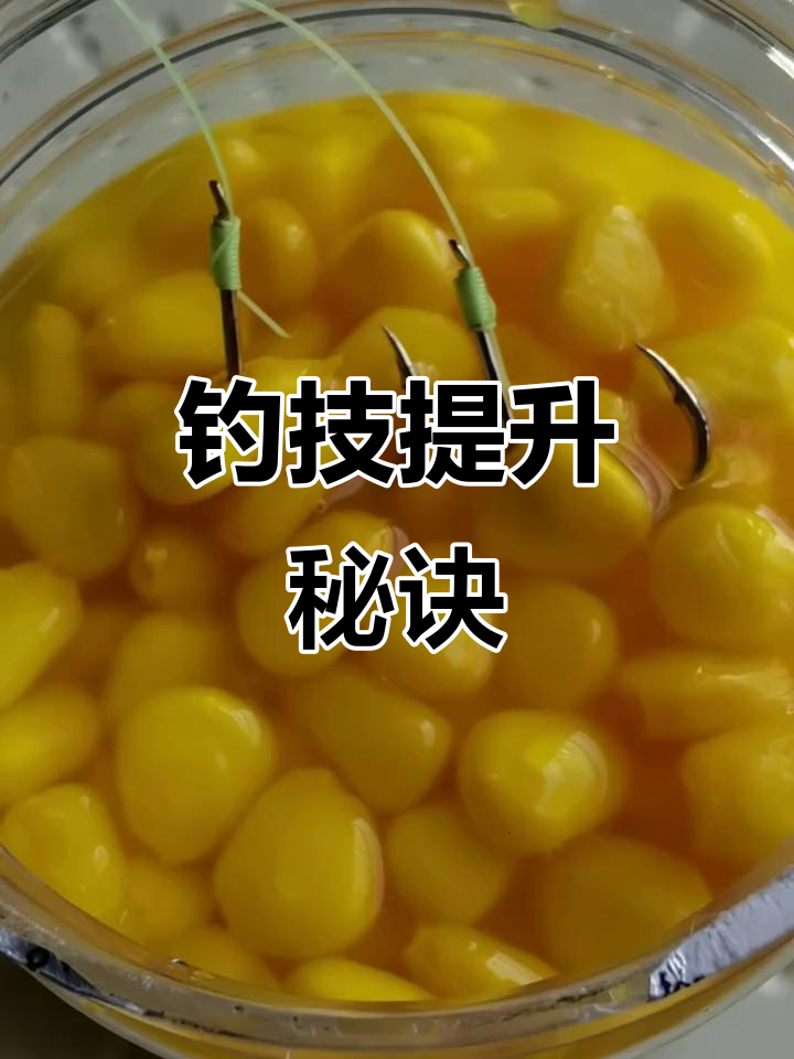 玉米钓鱼饵料制作方法(玉米做钓饵)
