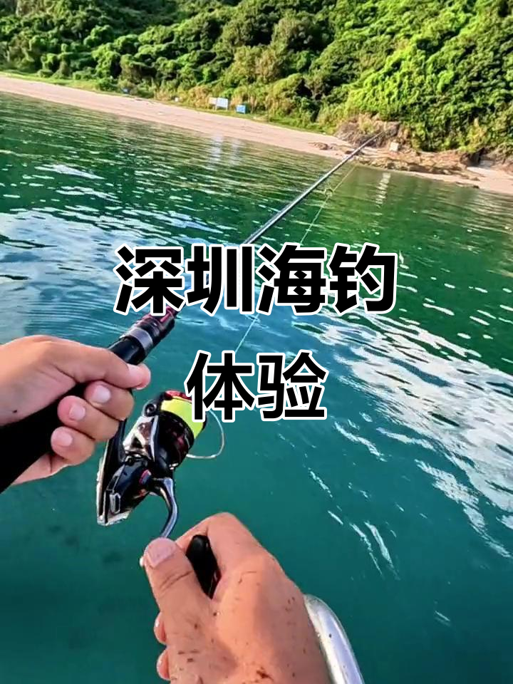 海钓有路亚吗(海钓用路亚还是海杆)