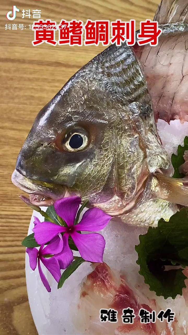 海钓黄岐鲷技巧(钓黄鳍鲷最佳钓法)