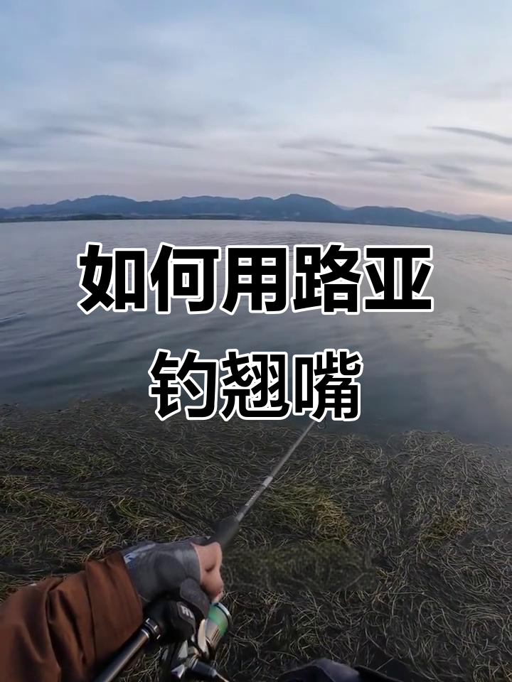 翘嘴饵料技巧(翘嘴饵料技巧和方法)