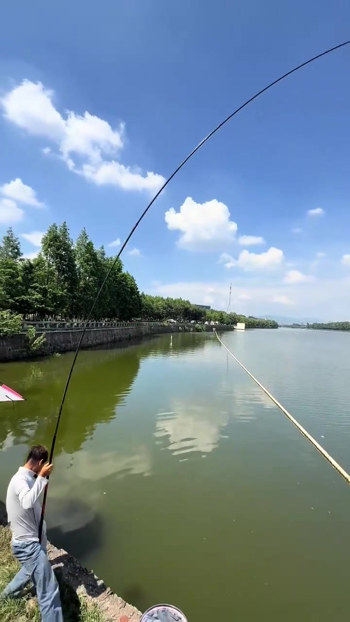 江钓技巧(如何钓江鳊)