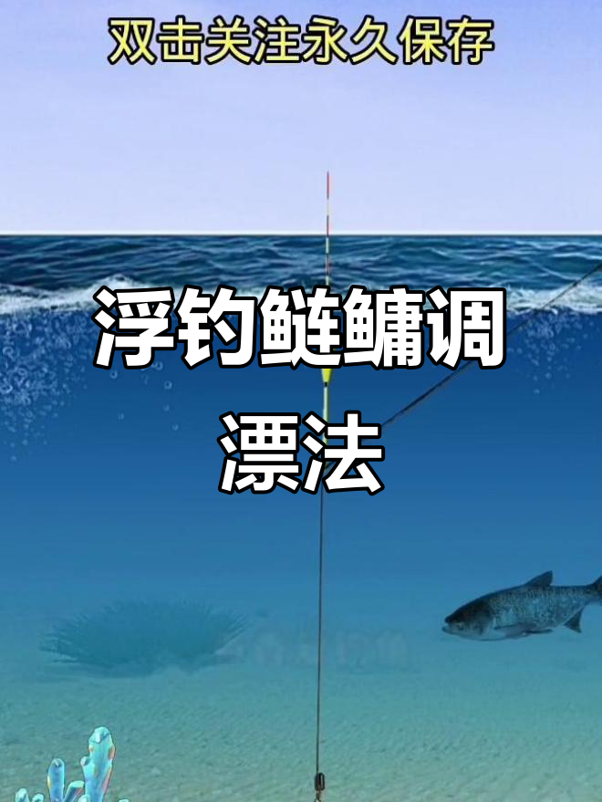 水库钓鱼技巧浮钓鲢鳙(水库钓鲢鳙用什么饵料最好)