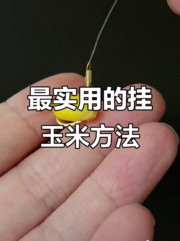 搓饵料怎么挂钩(搓饵挂钩为何会掉)