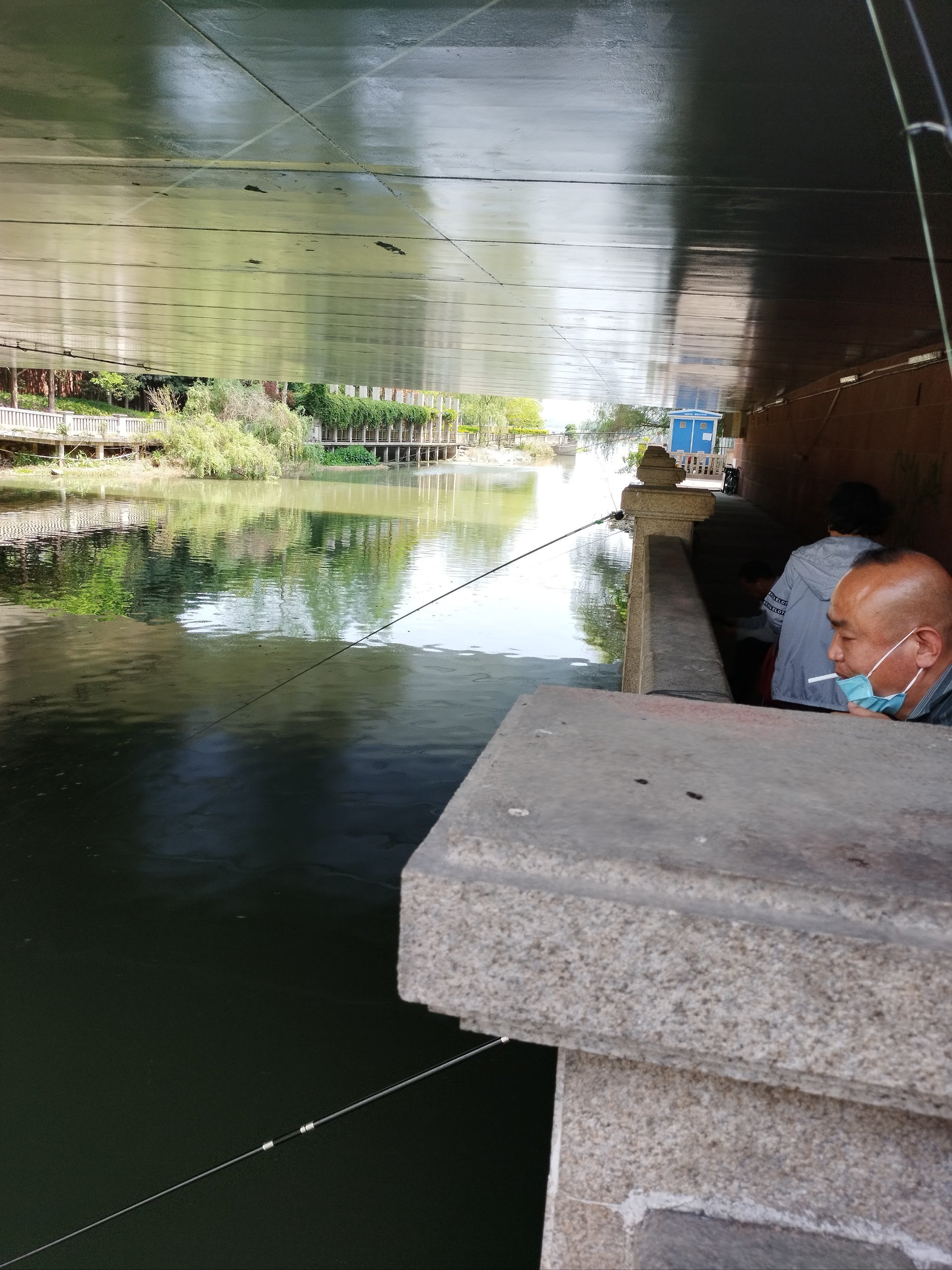 在桥上钓流水鱼技巧(在桥上钓流水鱼技巧和方法)