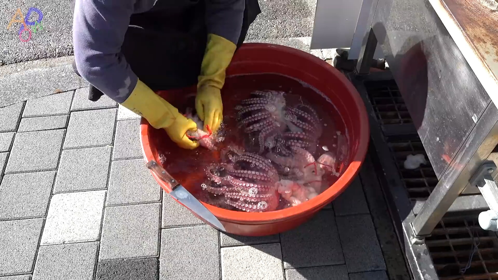 海钓八抓鱼(海钓八抓鱼钓底吗)