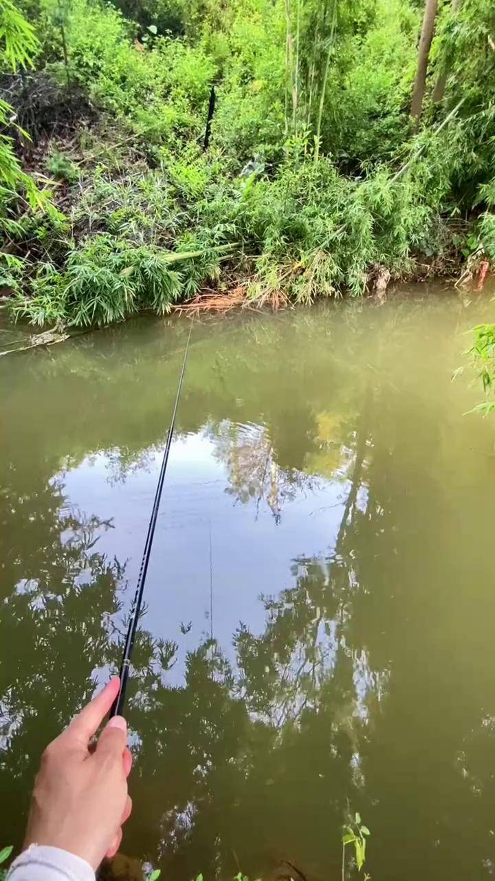 小河钓鱼技巧(小河钓鱼方法)