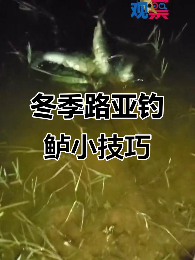 北方冬季如何路亚(北方冬季路亚滑漂钓鲫鱼)