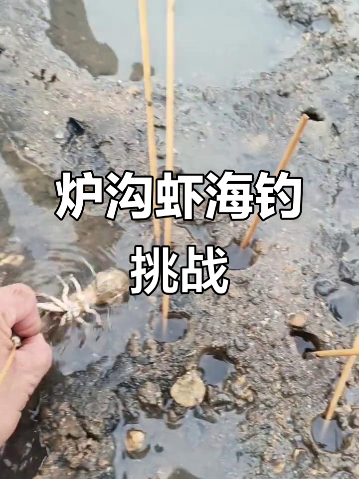 海钓穿虾(海钓穿虾教程)