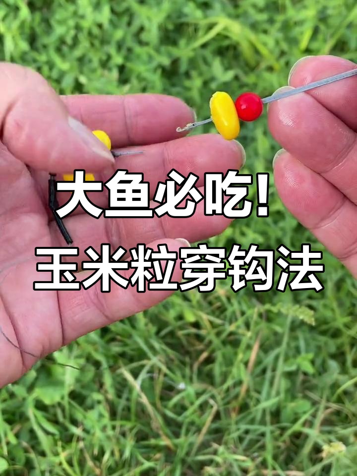 及冬季生玉米钓鱼技巧(冬天鲜玉米钓鱼)