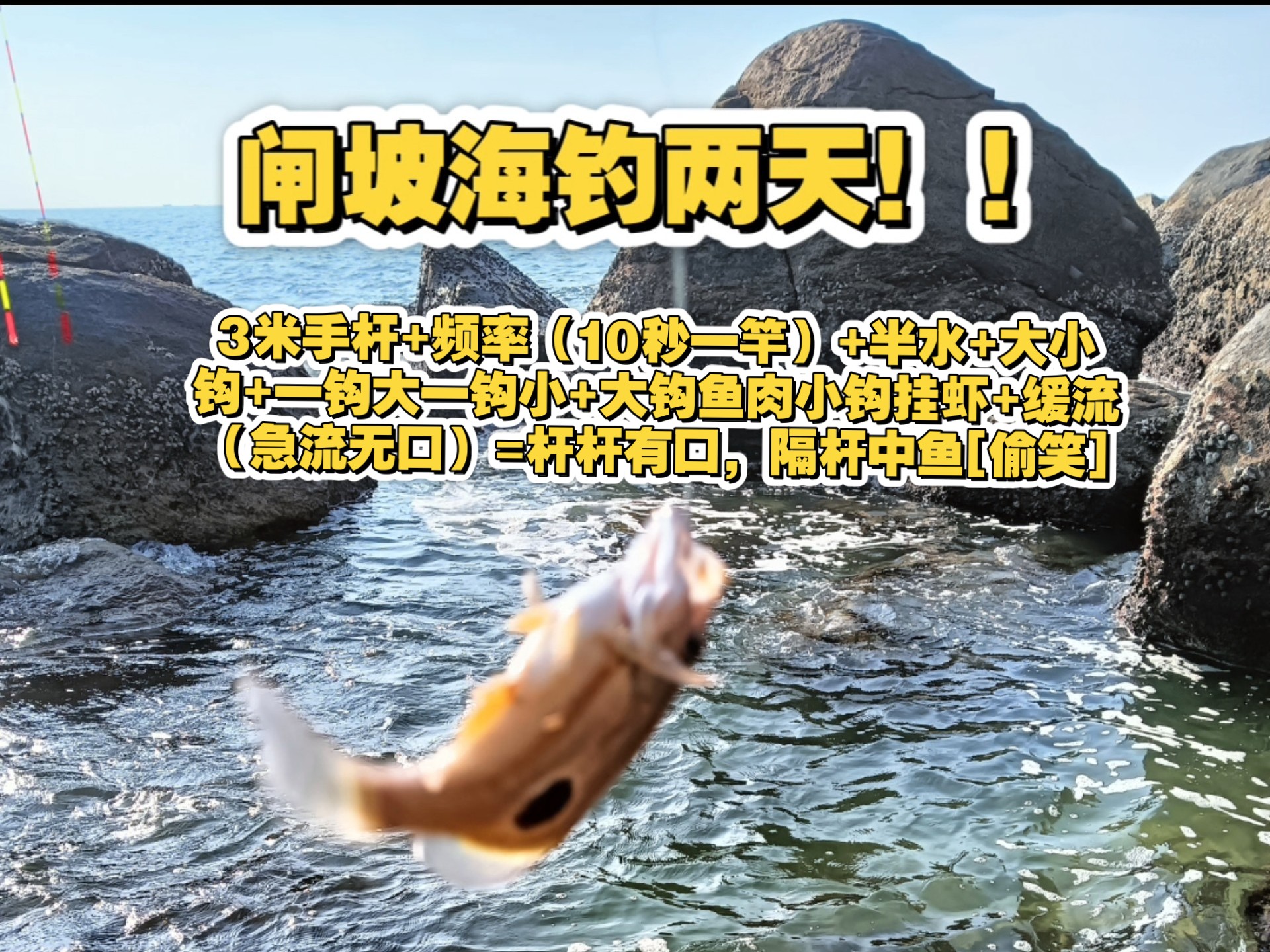 海钓吃铅半水(海钓用吃铅多大的浮漂)