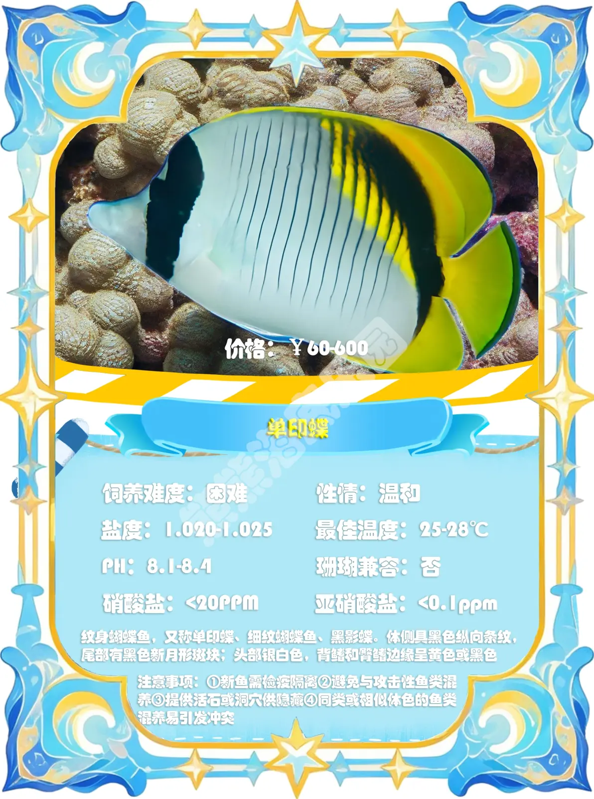 海钓鲽鱼价格(海钓鲻鱼钓组图解)