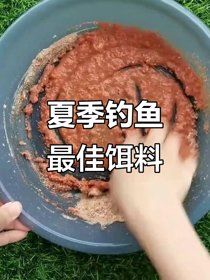 钓混养开饵技巧(钓混养是什么意思)