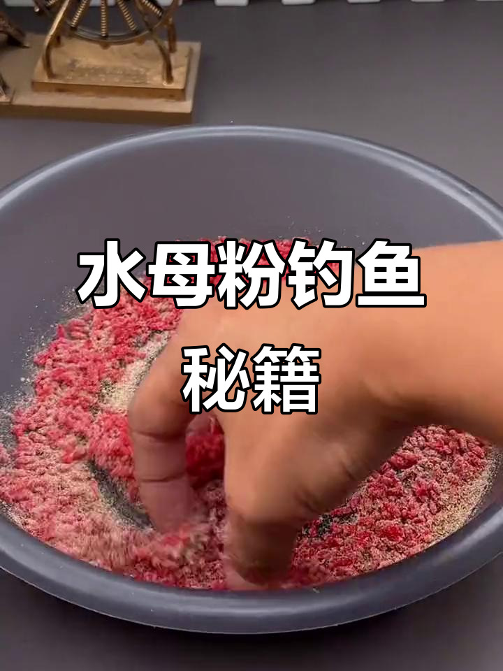 钓混养开饵技巧(钓混养是什么意思)