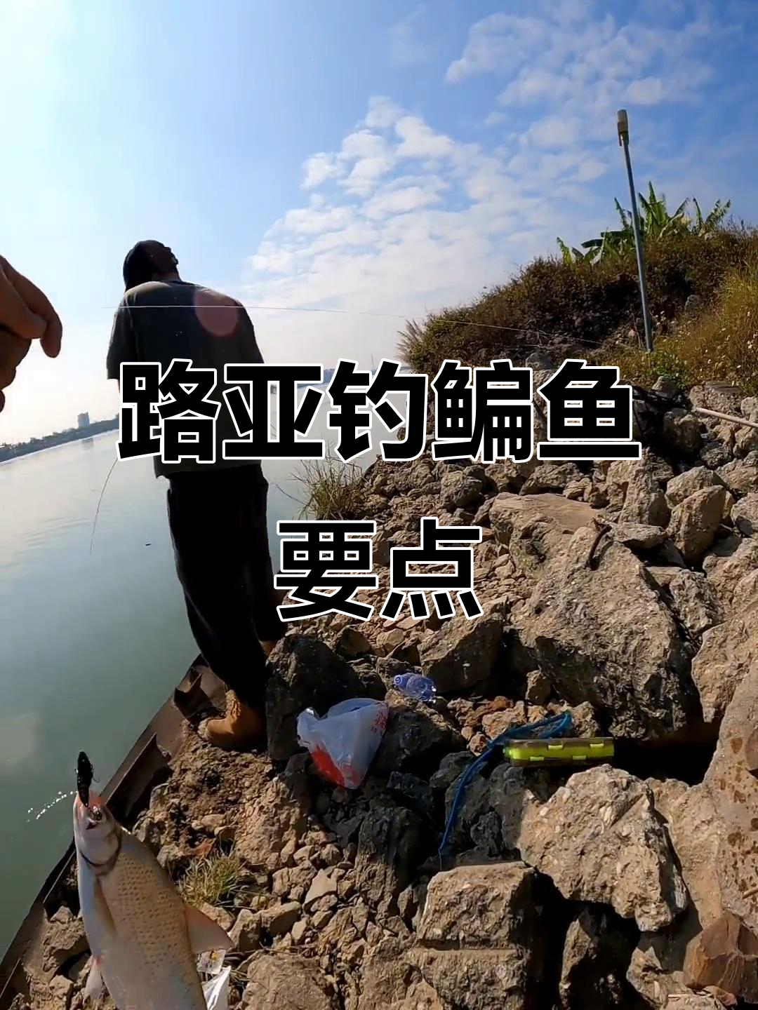 钓武鲳鱼的技巧(武昌鱼如何垂钓)