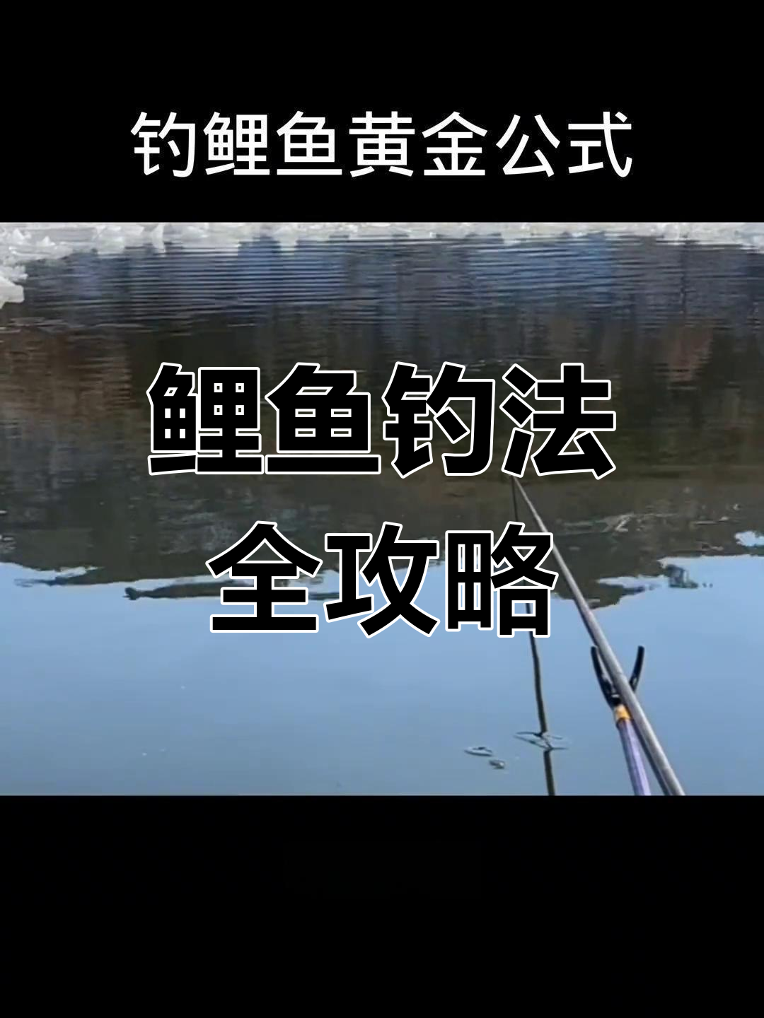 钓鲤鱼技巧视频教程(钓鲤鱼技巧大全)