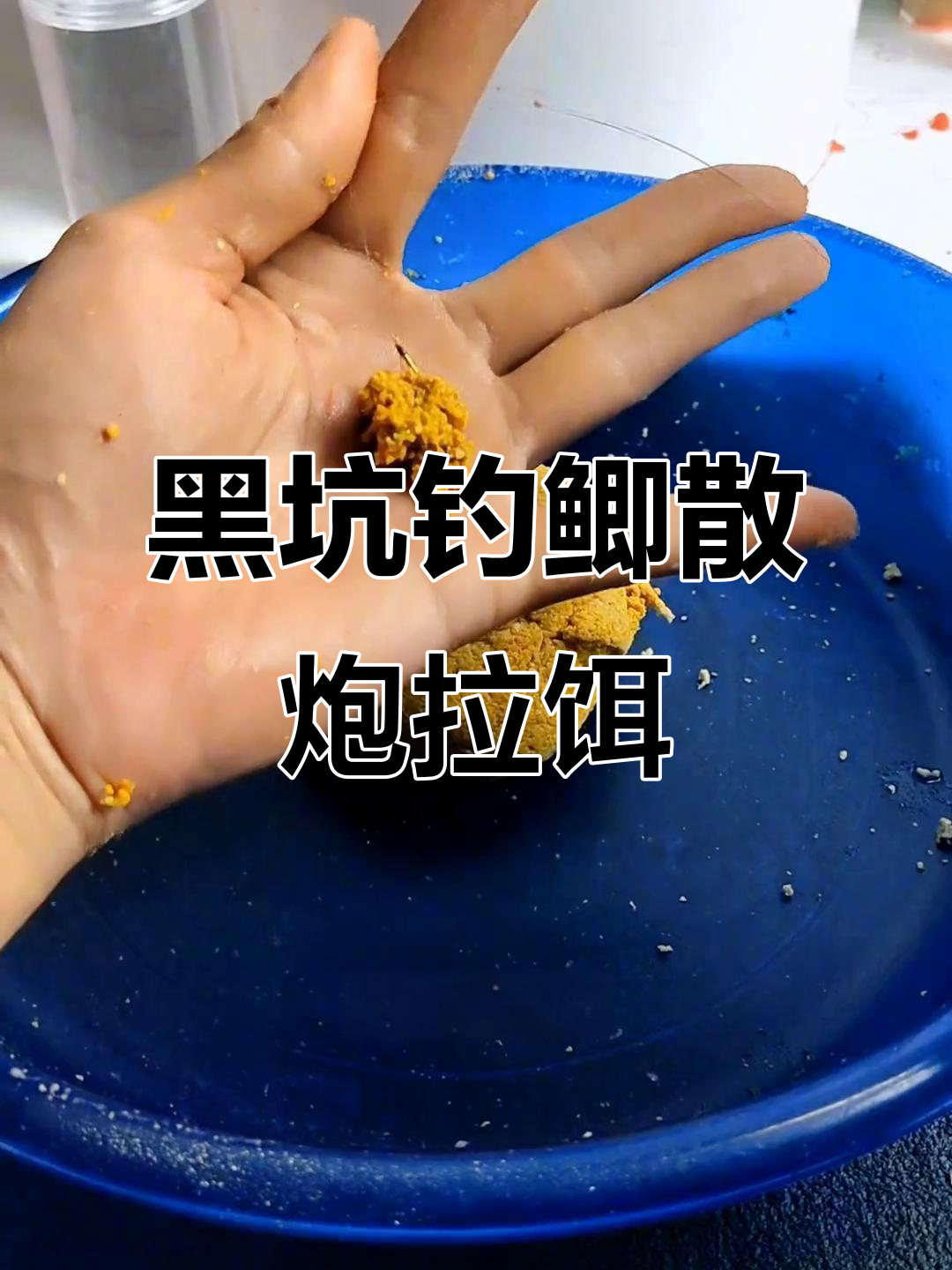 钓黑垦技巧(钓黑坑完整视频)