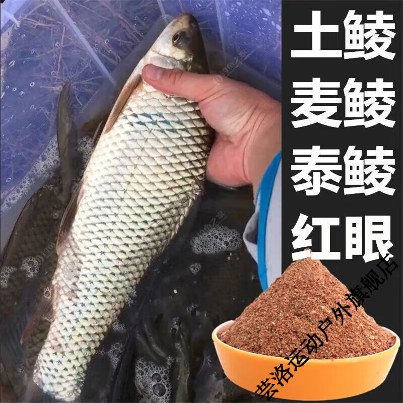 钓白鲮饵料(钓白鲮鱼怎么样调漂)