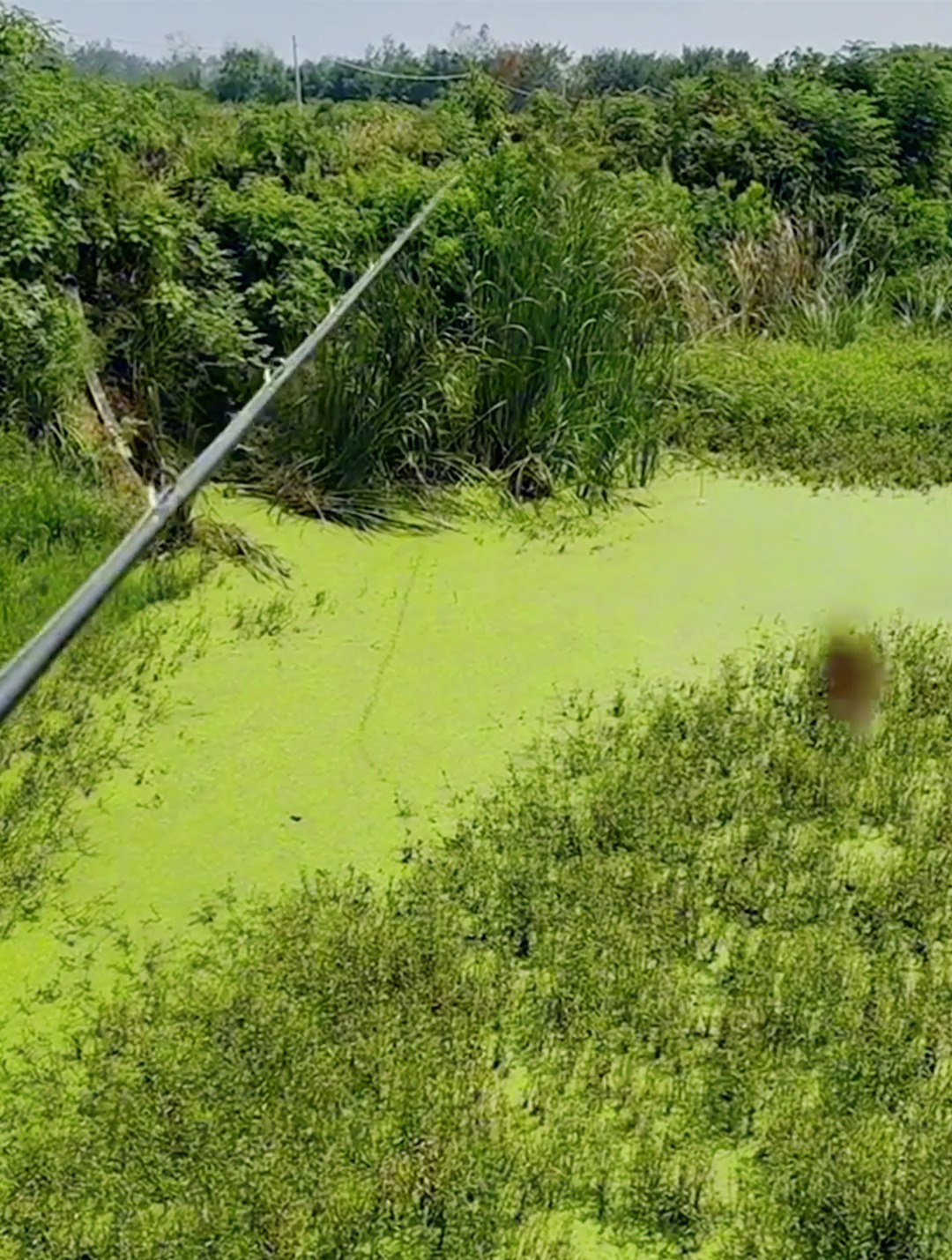 湘江路亚河段(湘江北去橘子洲头全诗)