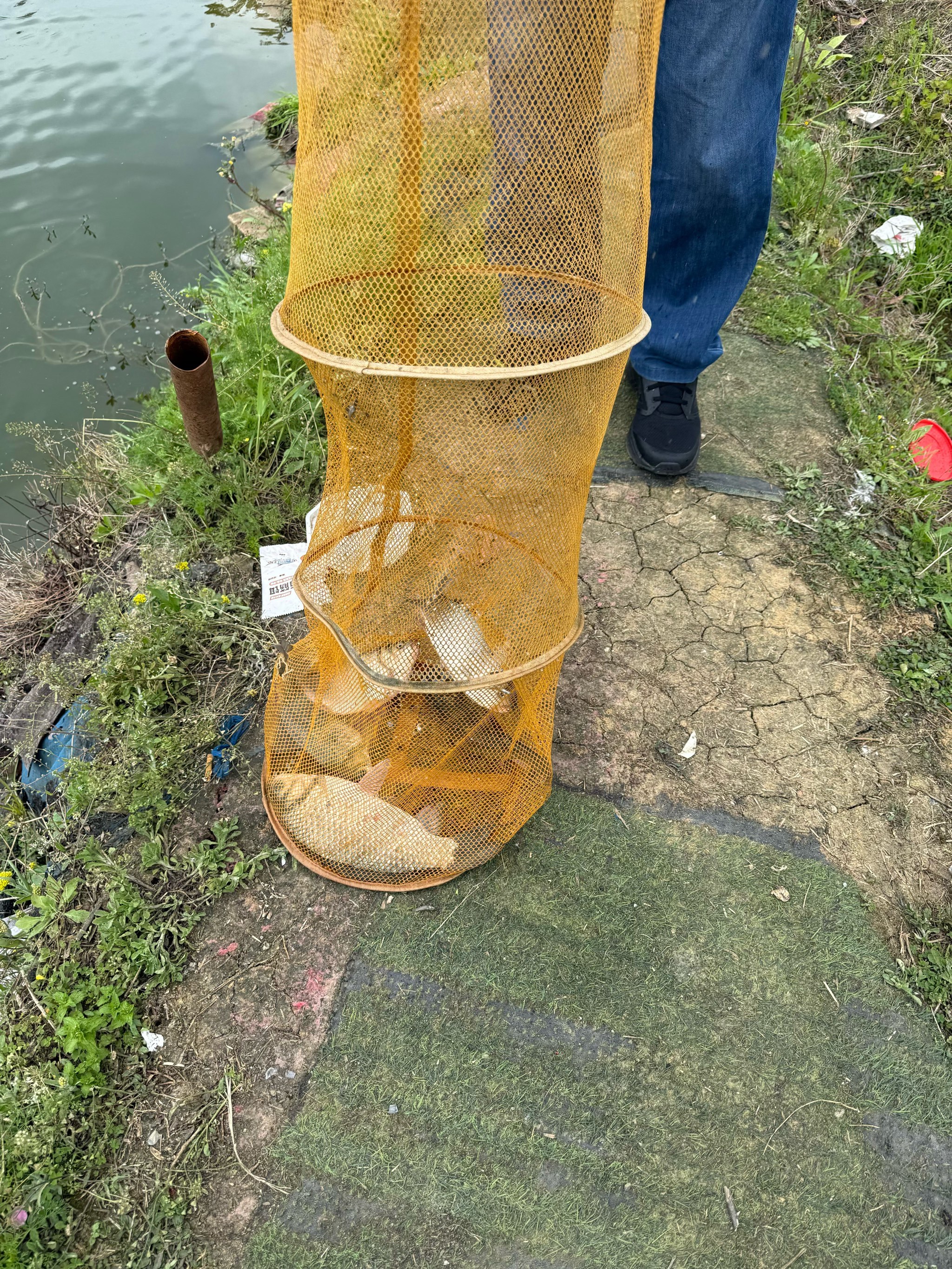 自贡荣县过河钓渔具(荣县双溪水库可以钓鱼吗)