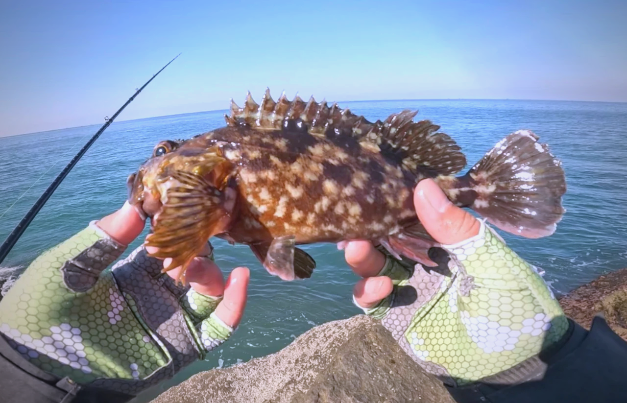 春季海钓黑鮶鱼(海钓线组组装图解)