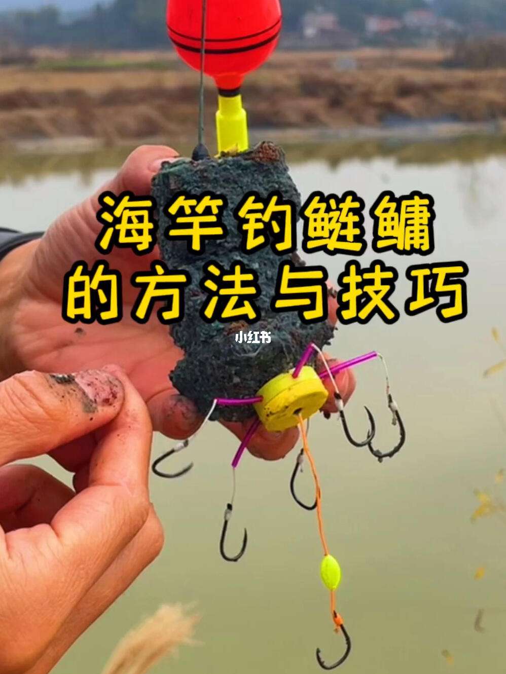 南方流水海竿钓鱼技巧(南方海钓什么季节最好)