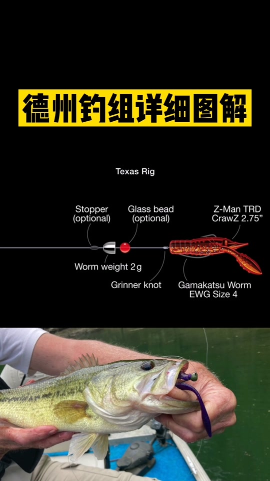 路亚线组视频讲解(路亚线组图解 安装 示意图)