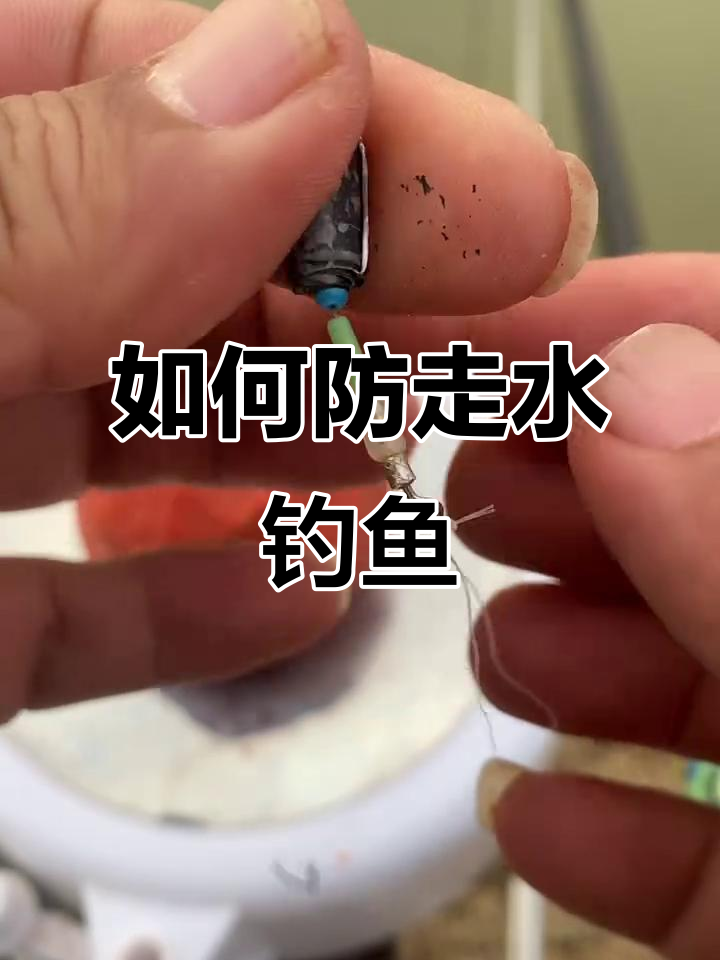 河里走水钓鱼技巧视频(河里走水怎么钓鱼视频)