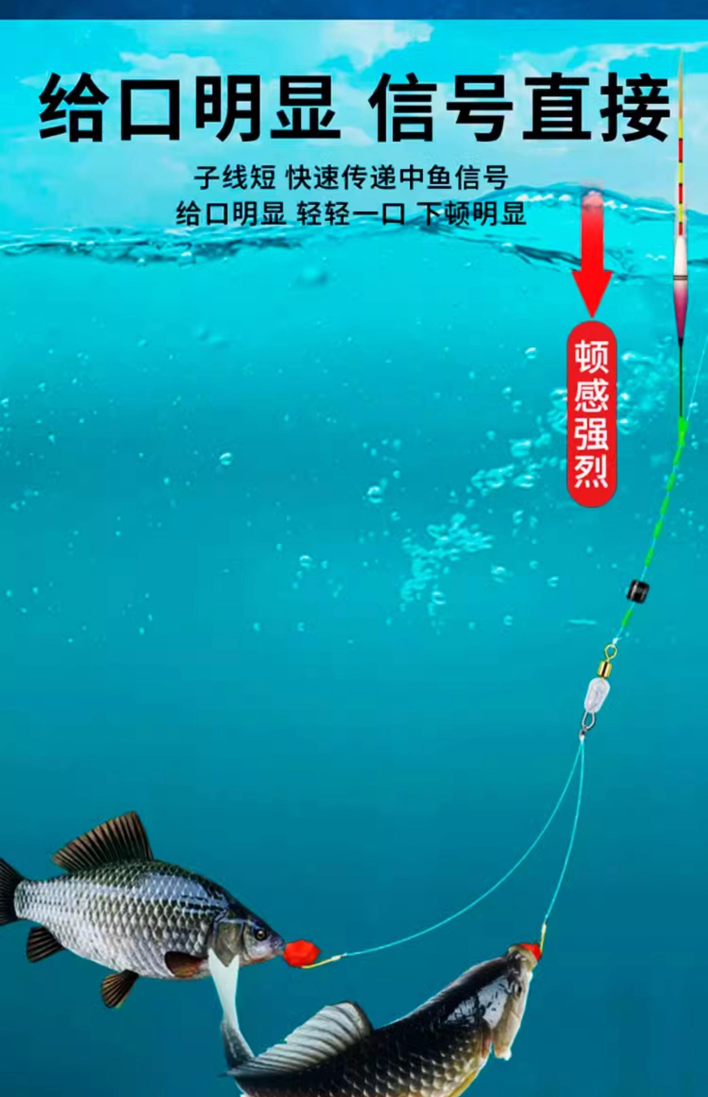 海钓子线怎么做(海钓子线长好还是短好)