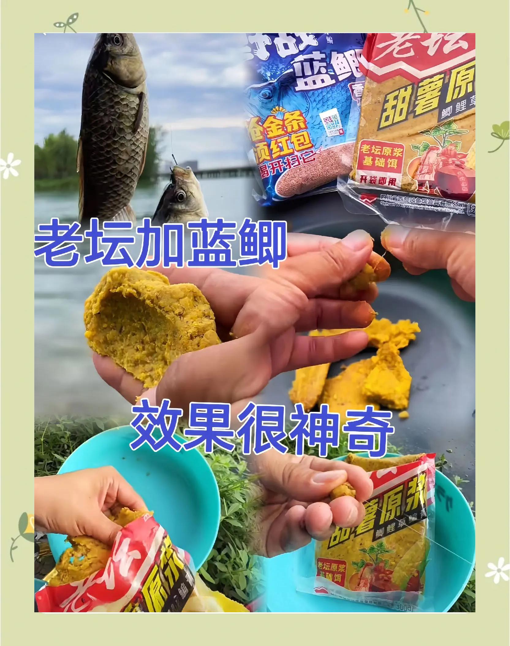 大师开饵技巧(大师钓鱼秘制饵料)