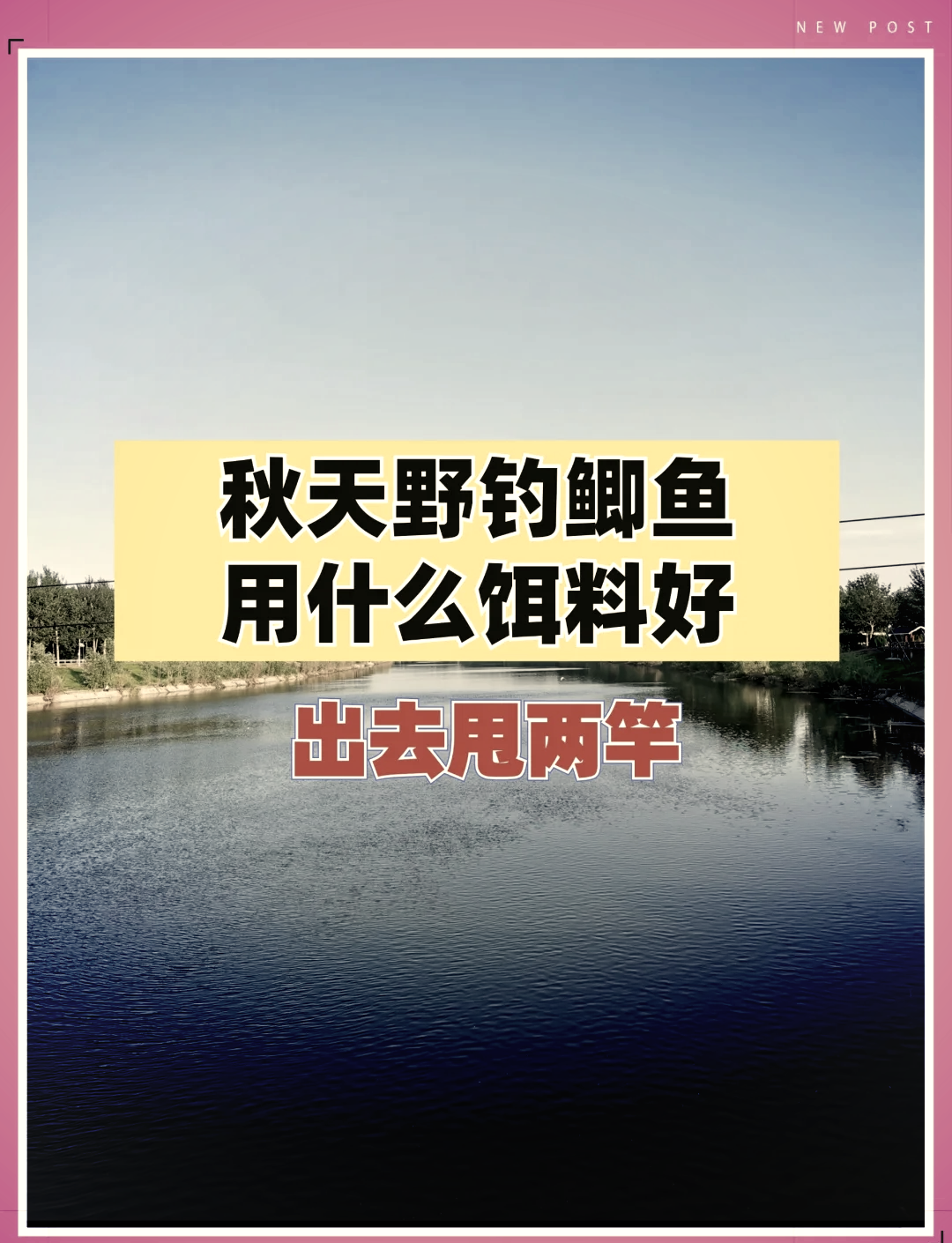 秋季用什么饵料钓鲤鱼(秋季钓鲤鱼用什么打窝料最好)
