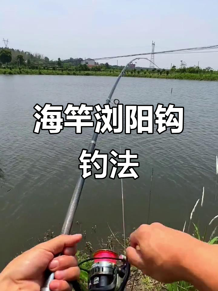 江河钓海杆的技巧(江河海钓大鱼技巧)