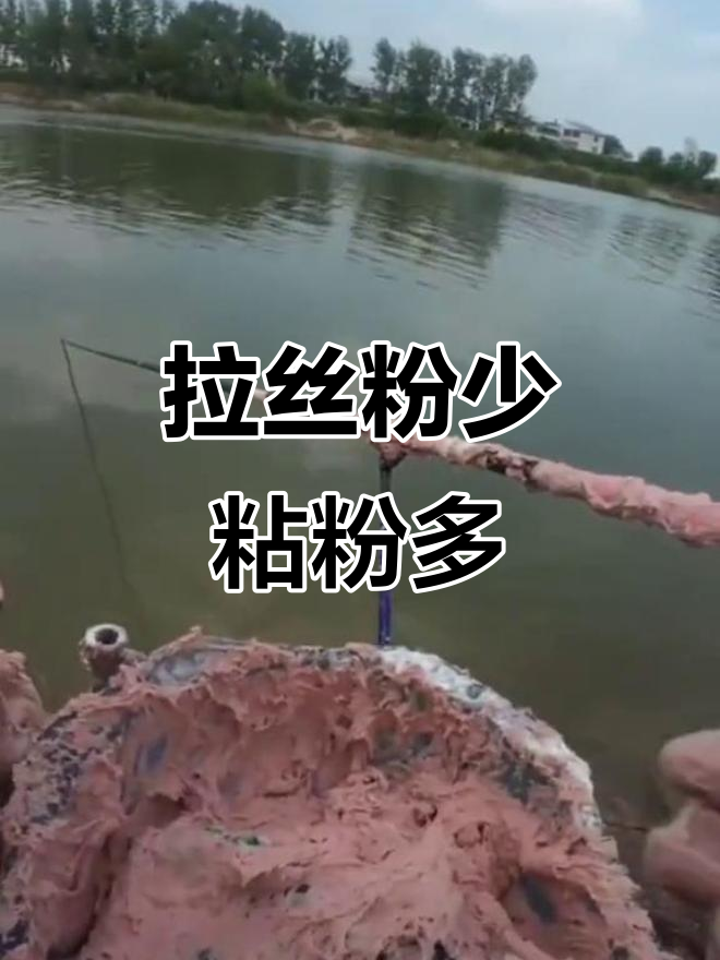 粘粉技巧(粘粉用什么做的)