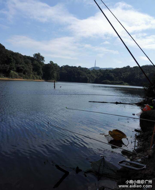 深圳海钓aidiao(北京碧海钓具展会)