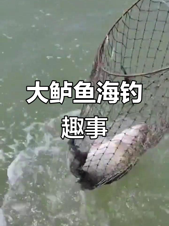 小汐海钓鲈鱼视频(游小浪Vlog)