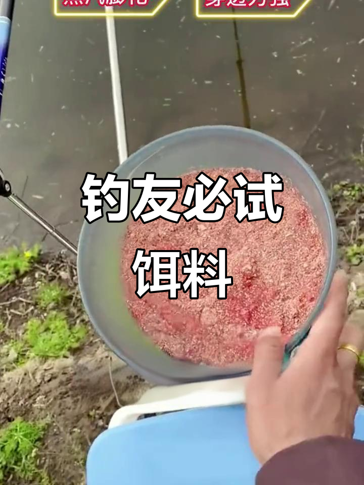 钓鱼饵料变色(钓鱼饵料变色的原因)