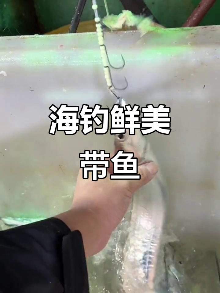 钓带鱼水深度技巧(带鱼怎么钓在什么水层)