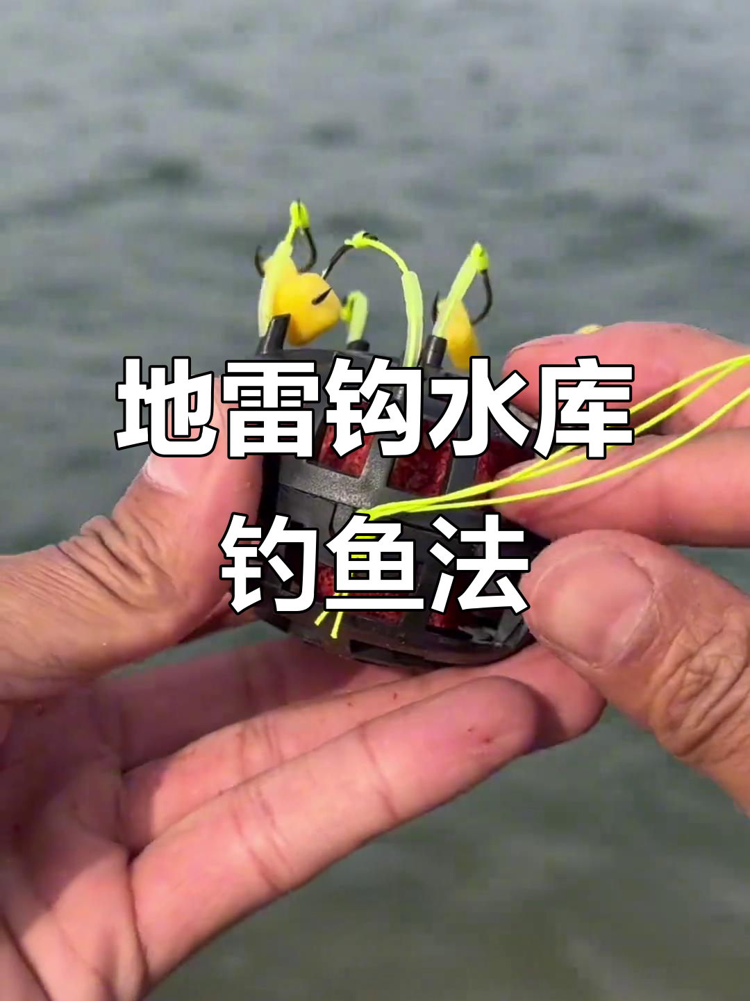 大型水库钓青草鱼技巧(水库钓草鱼鲤鱼青鱼用什么打窝)