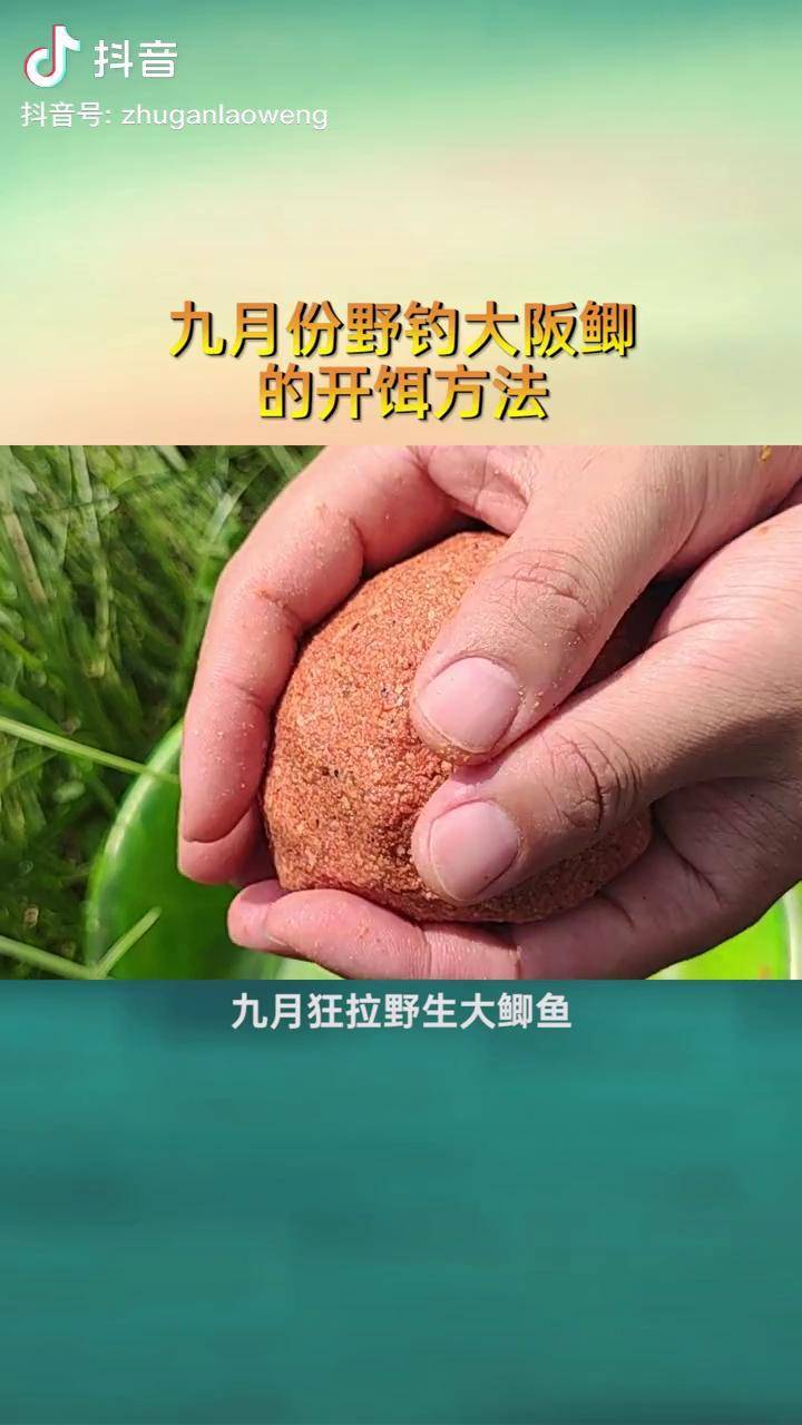 钓鲤草绝巧与饵料配方(钓鲤鱼草鱼的最佳配料)