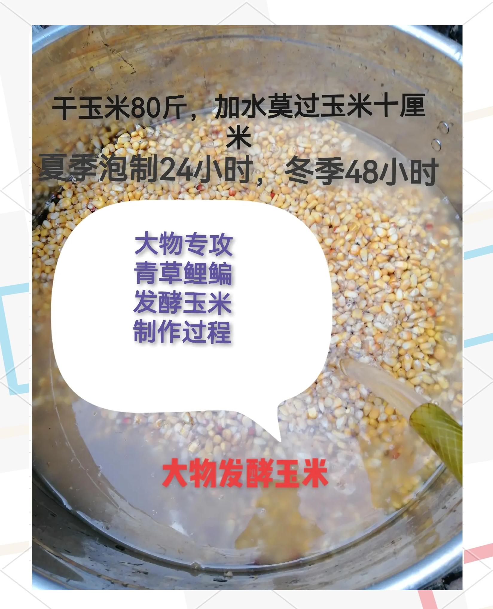 深水饵料的制作(深水用什么饵料)