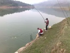 四海钓鱼一元夺宝(四海钓鱼频道纯音乐)