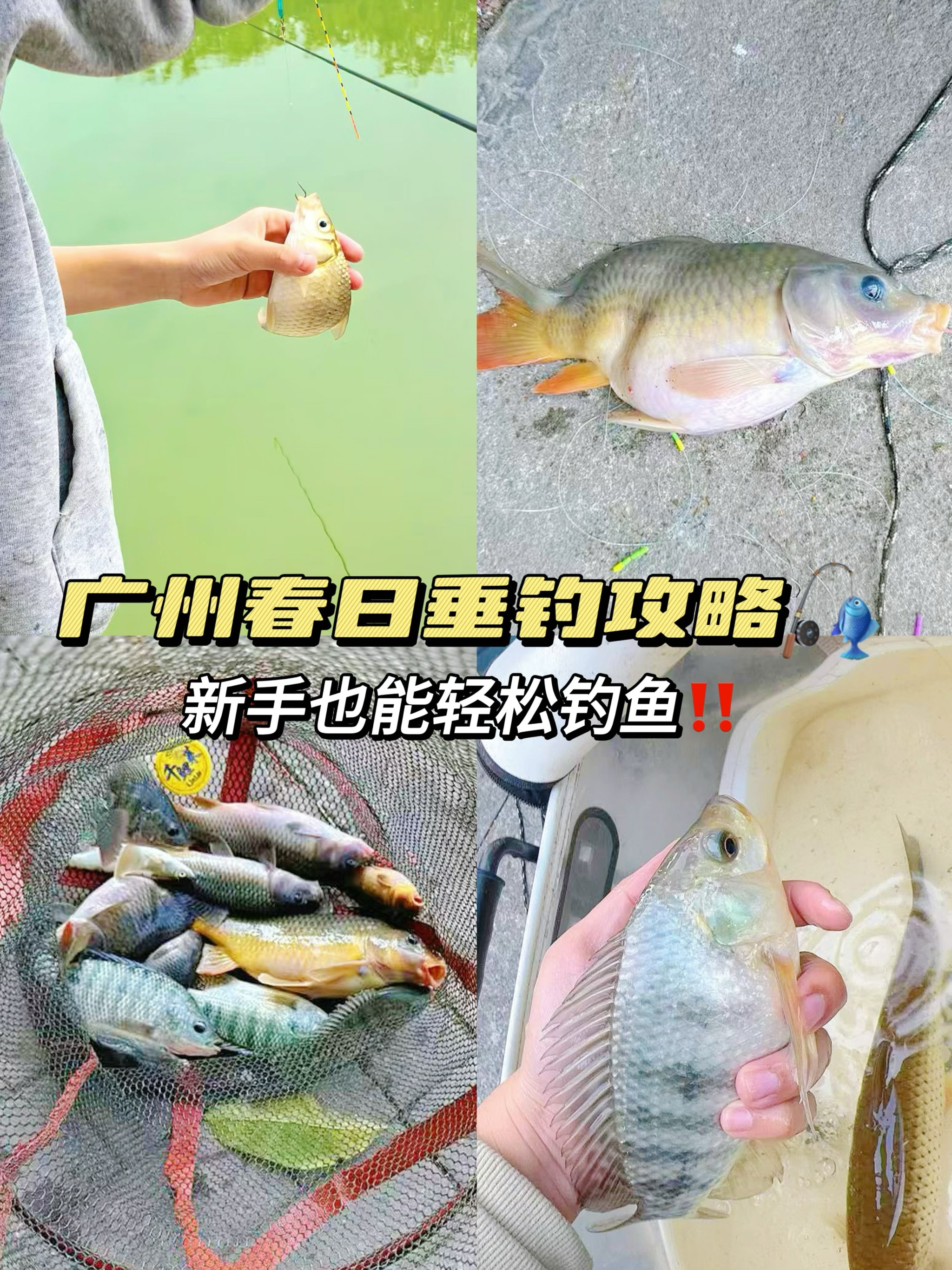广东冬钓技巧(广东冬天钓鱼钓深还是钓浅)